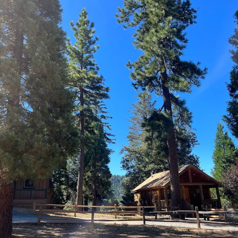 camp-connect-(3)