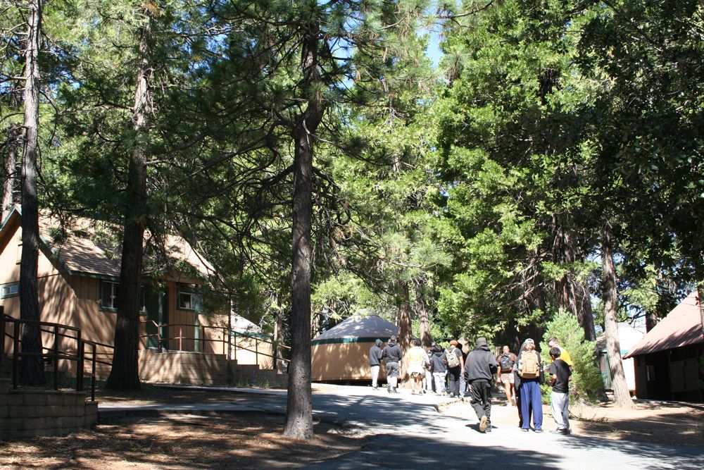 Kidsave-Los-Angeles-Camp-Connect-2025-Scenery