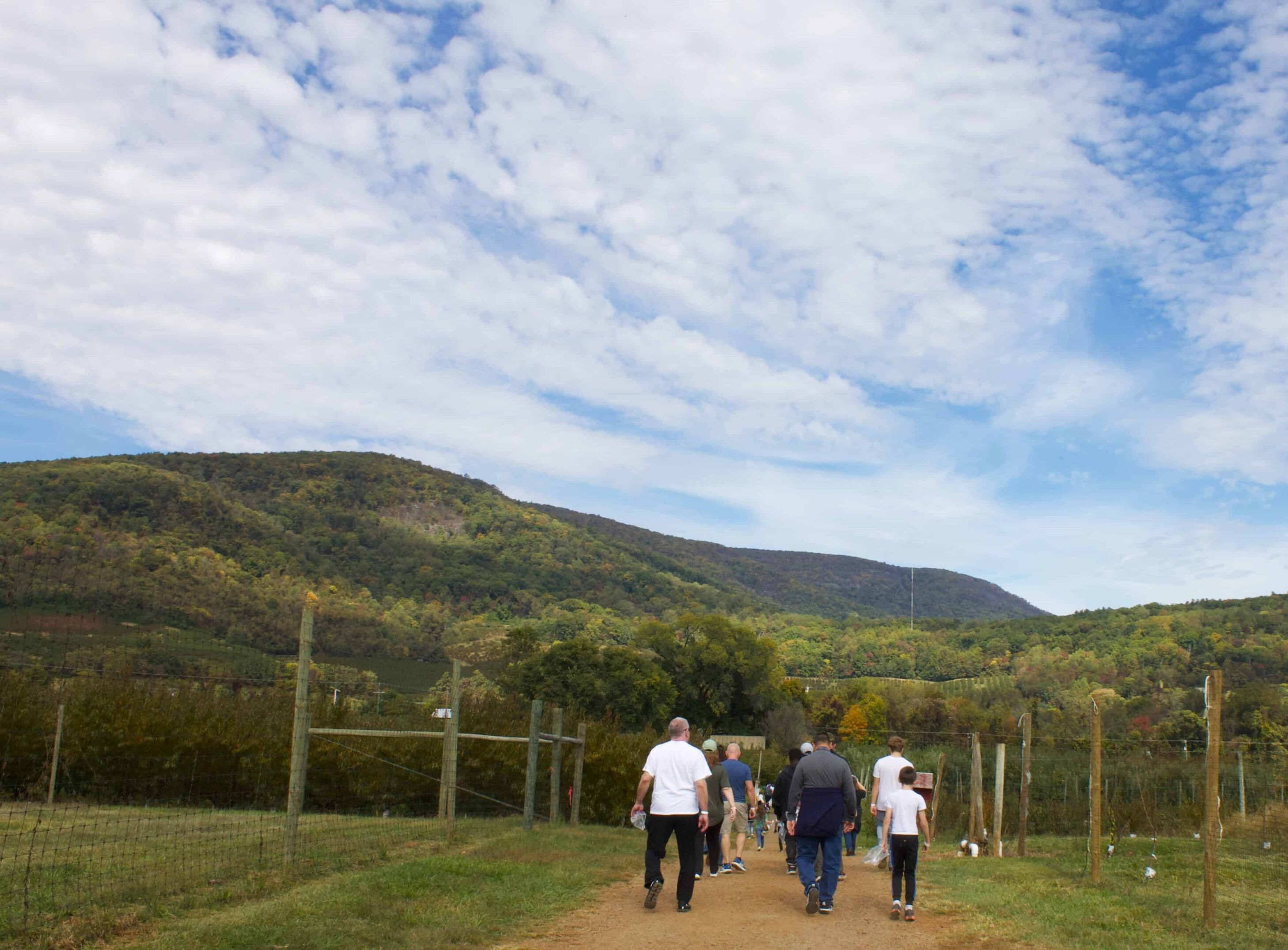 In-the-Apple-Orchard-5